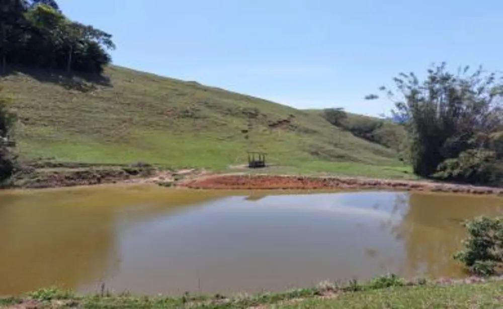 Fazenda, 33 hectares - Foto 14