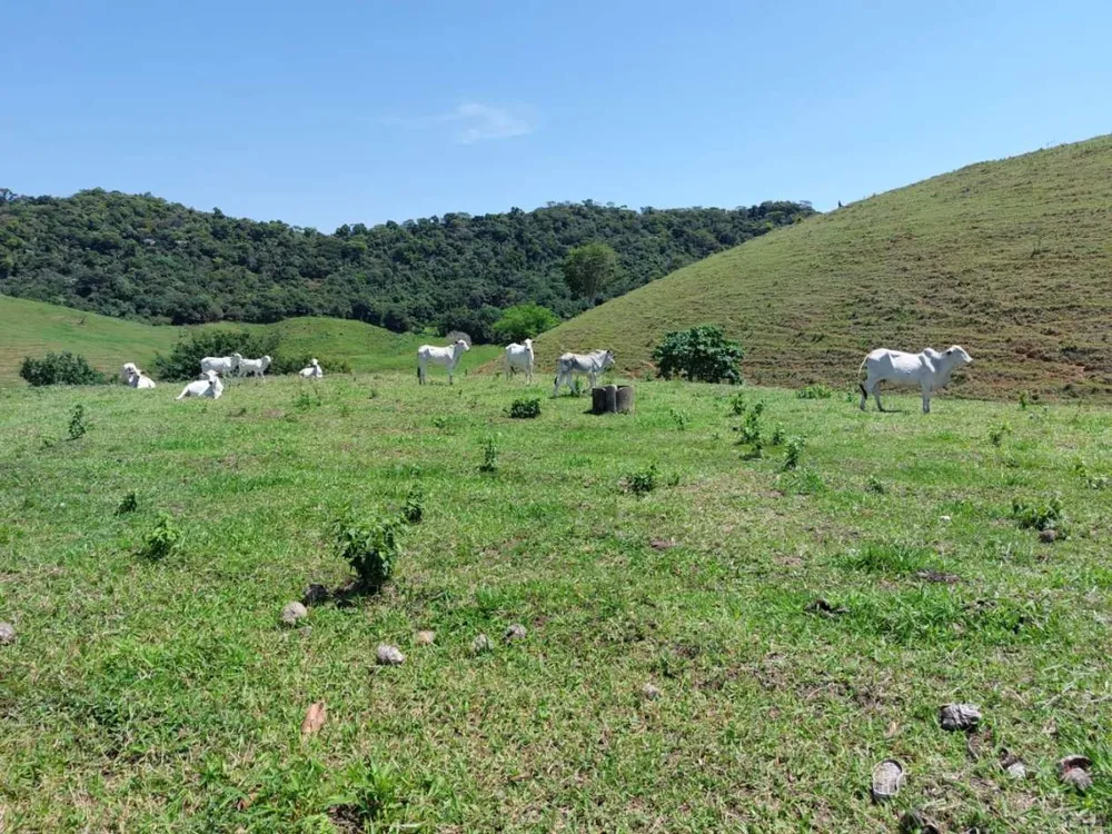 Sítio, 2 quartos, 33 hectares - Foto 21
