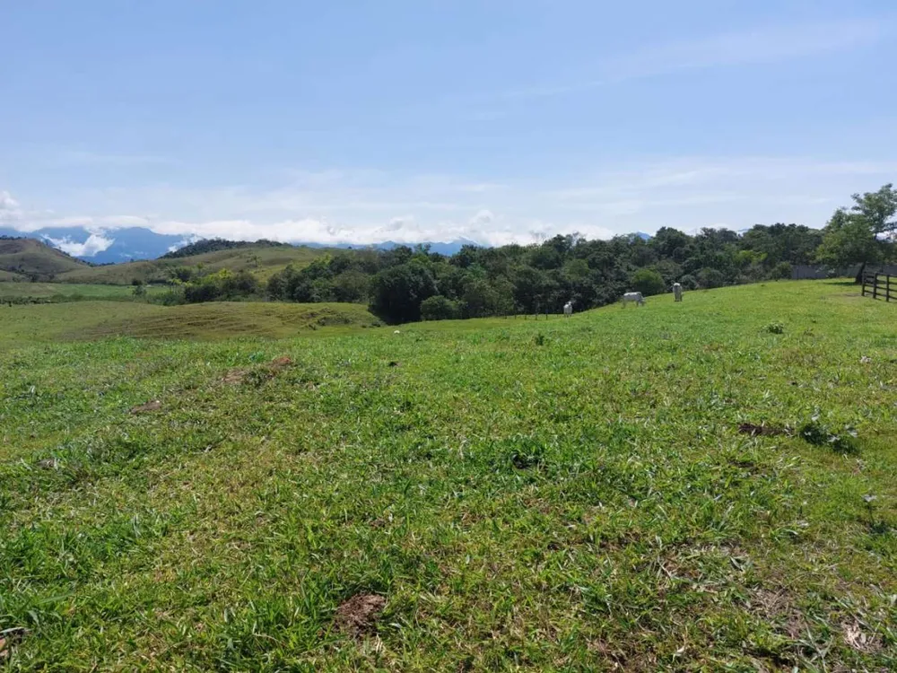 Sítio, 2 quartos, 33 hectares - Foto 47