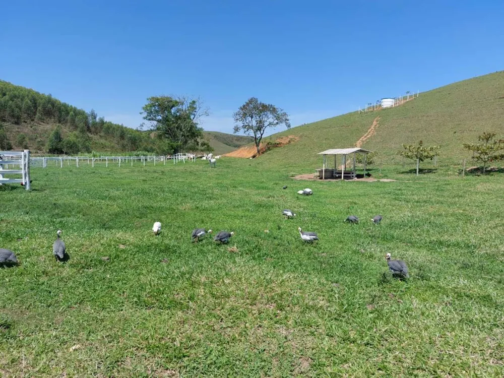 Sítio, 2 quartos, 33 hectares - Foto 44