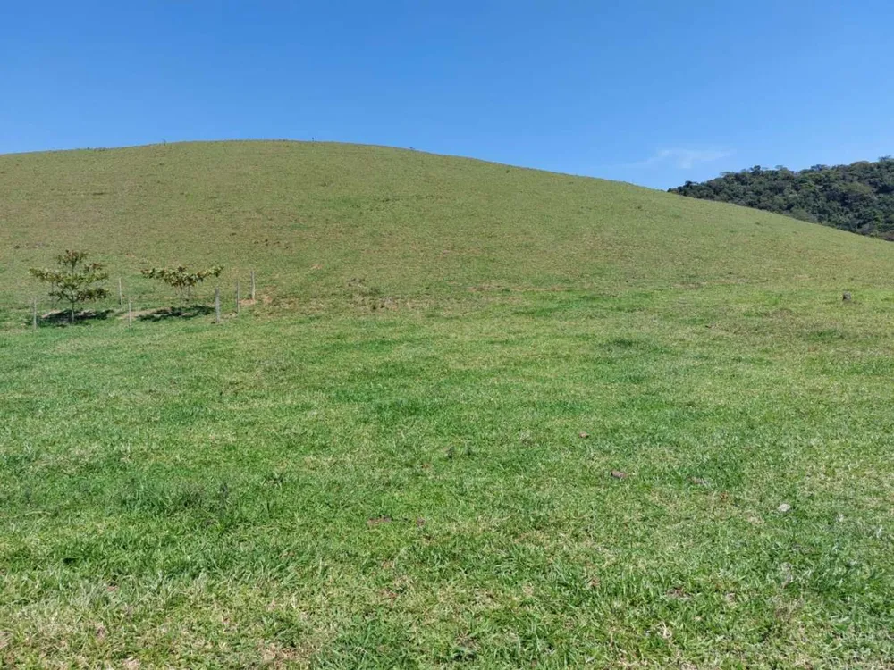 Sítio, 2 quartos, 33 hectares - Foto 33