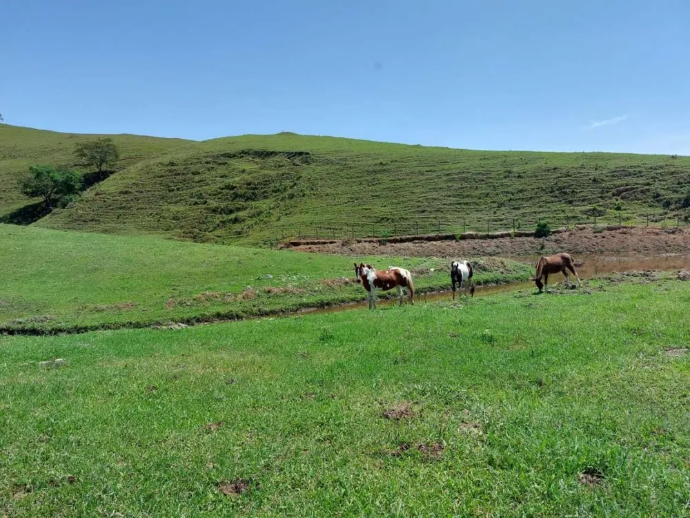 Sítio, 2 quartos, 33 hectares - Foto 42