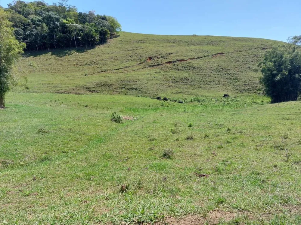 Sítio, 2 quartos, 33 hectares - Foto 66