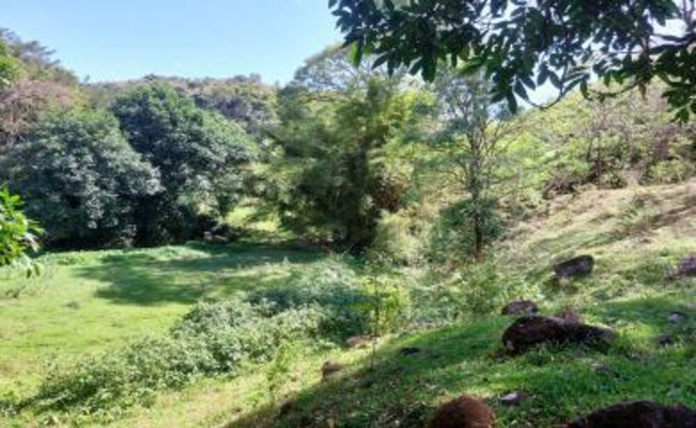 Fazenda-Sítio-Chácara, 20 hectares - Foto 14