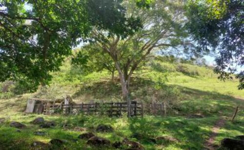 Fazenda-Sítio-Chácara, 20 hectares - Foto 15