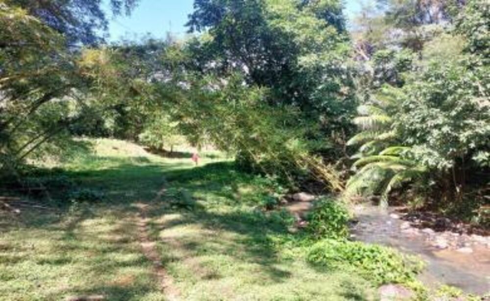 Fazenda-Sítio-Chácara, 20 hectares - Foto 7