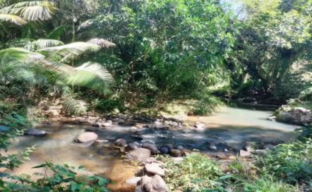 Fazenda-Sítio-Chácara, 20 hectares - Foto 5