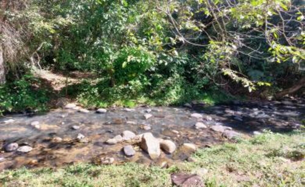 Fazenda-Sítio-Chácara, 20 hectares - Foto 6