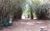 Fazenda-Sítio-Chácara, 20 hectares - Foto 4