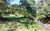 Fazenda-Sítio-Chácara, 20 hectares - Foto 2