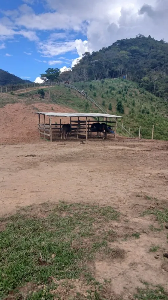 Fazenda, 8 hectares - Foto 9