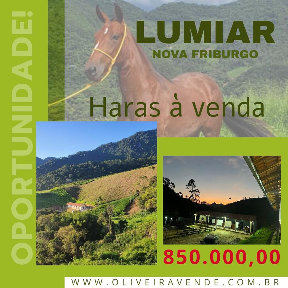 Fazenda à venda com 1 quarto, 80000m² - Foto 1