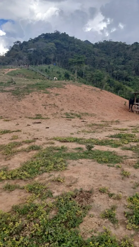 Fazenda, 8 hectares - Foto 12