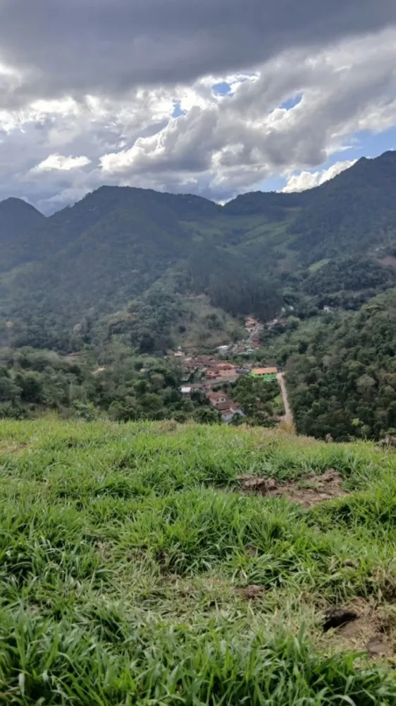 Fazenda, 8 hectares - Foto 7