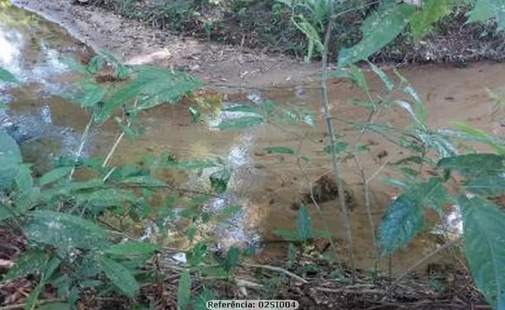 Sítio, 3 quartos, 2 hectares - Foto 17