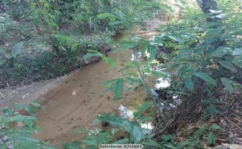 Sítio, 3 quartos, 2 hectares - Foto 20