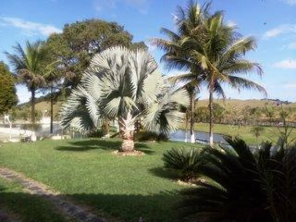 Fazenda, 43 m² - Foto 4