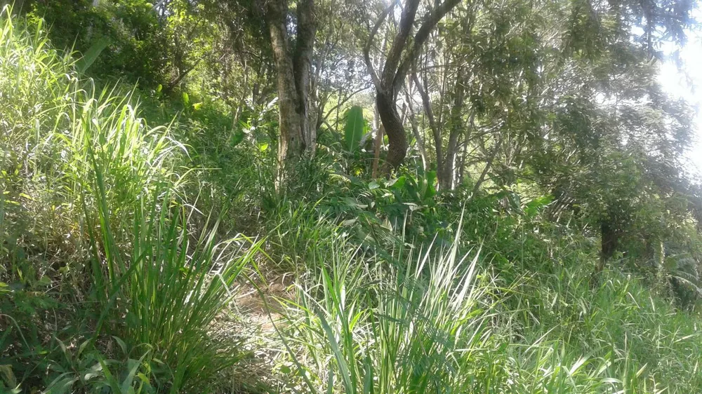 Terreno, 29 m² - Foto 12