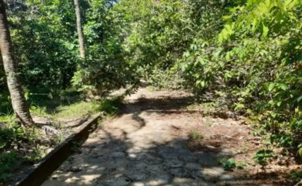 Sítio, 3 quartos, 16 hectares - Foto 6