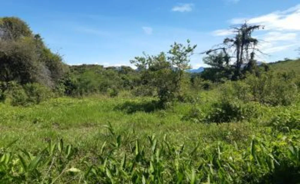 Sítio, 3 quartos, 16 hectares - Foto 11