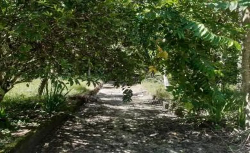 Sítio, 3 quartos, 16 hectares - Foto 4