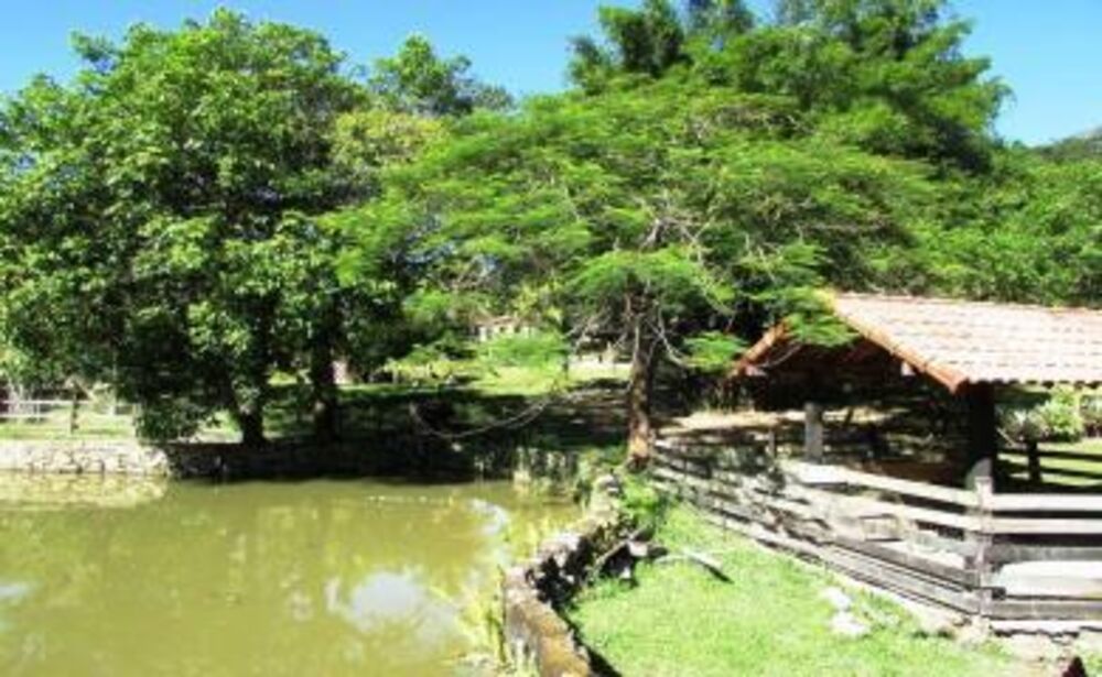 Sítio à venda com 3 quartos, 33200m² - Foto 16