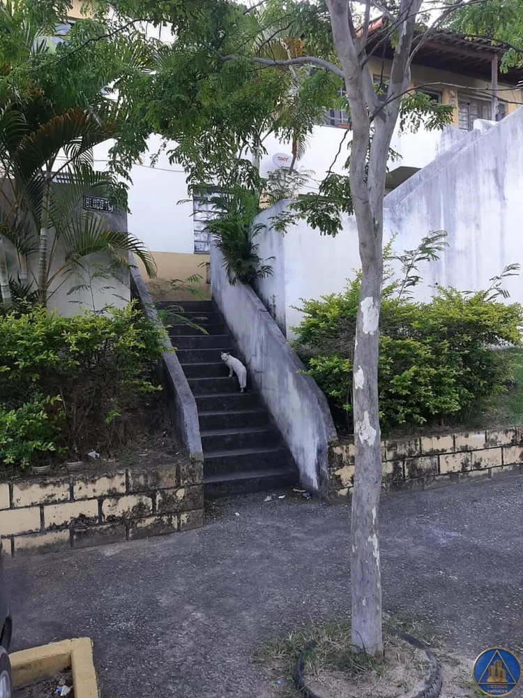 Apartamento, 2 quartos, 50 m² - Foto 38