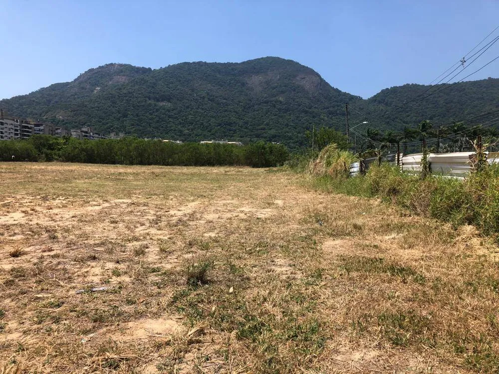 Terreno, 5 hectares - Foto 5