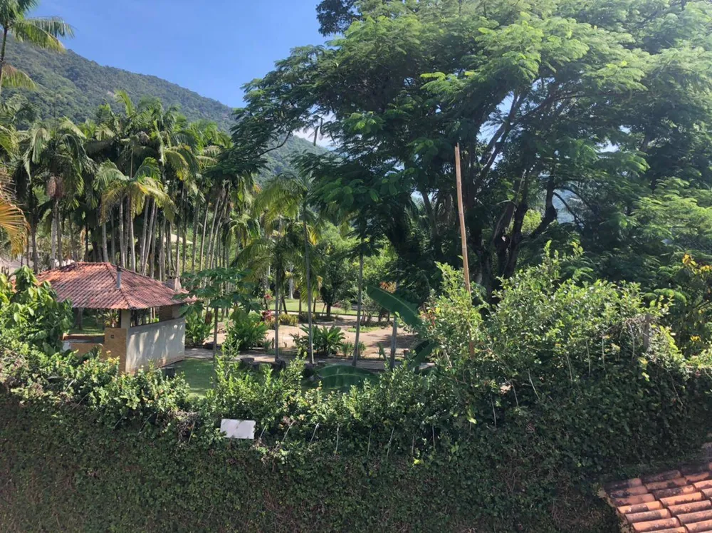 Sítio, 4 quartos, 10000 m² - Foto 13