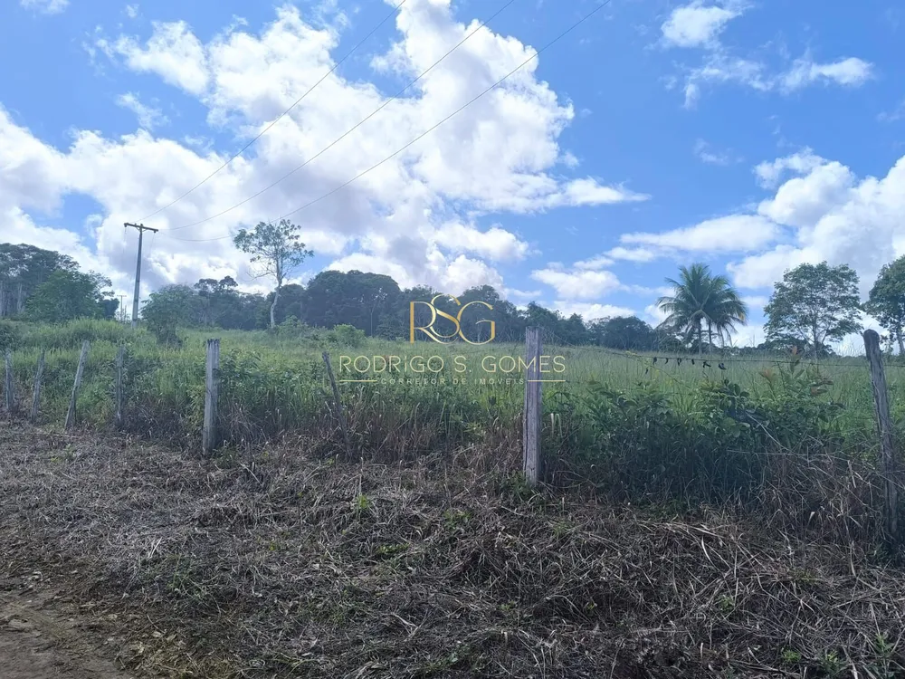Terreno, 174 hectares - Foto 3