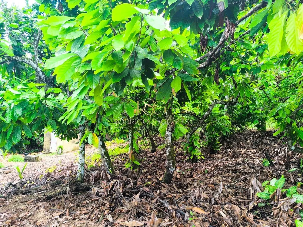 Terreno, 174 hectares - Foto 1
