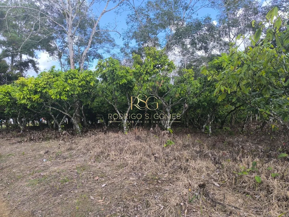 Terreno, 174 hectares - Foto 4