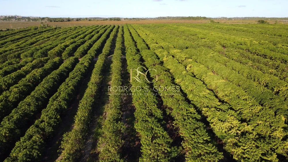 Fazenda, 382 hectares - Foto 4