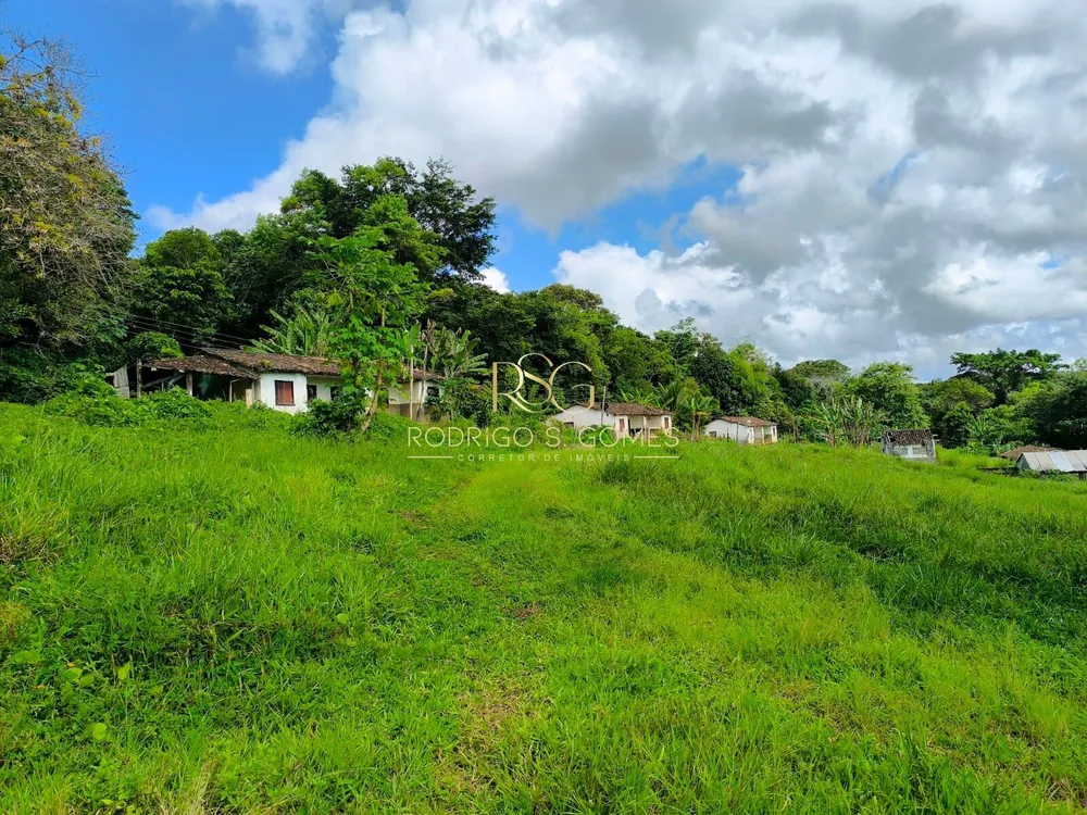 Fazenda, 1003 hectares - Foto 3
