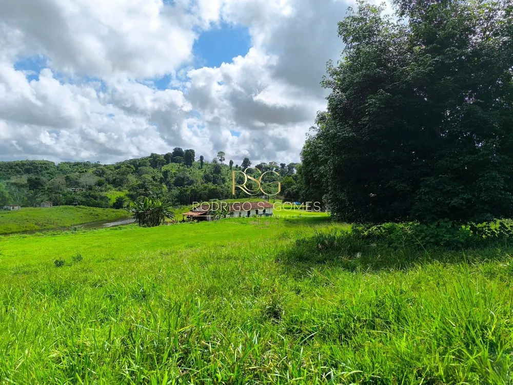 Fazenda, 1003 hectares - Foto 4