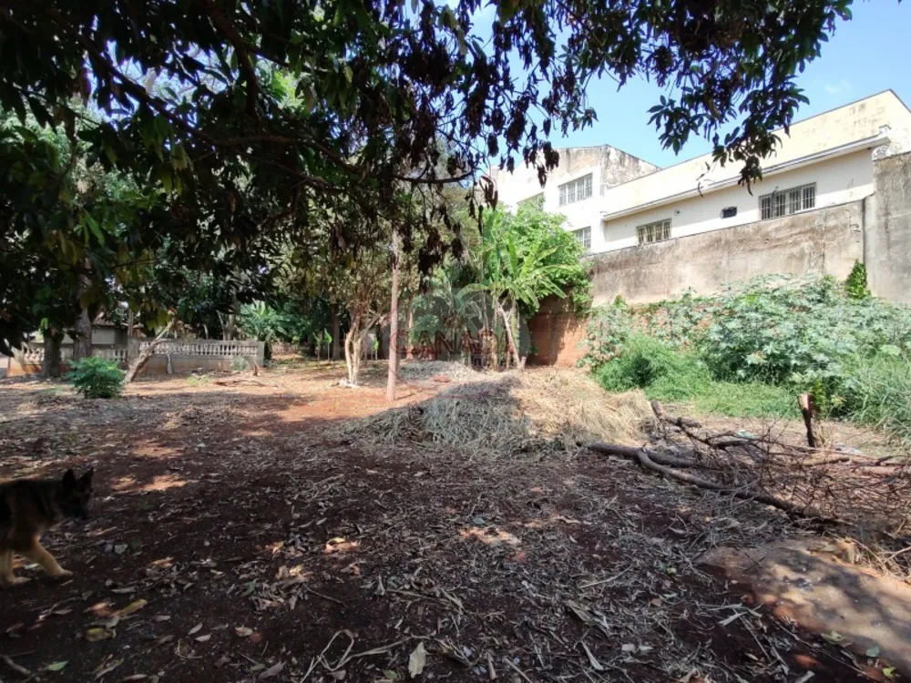 Terreno, 4940 m² - Foto 11