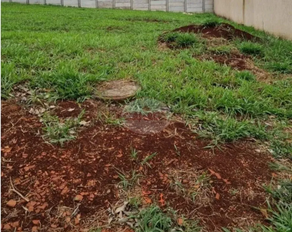 Terreno - Foto 2