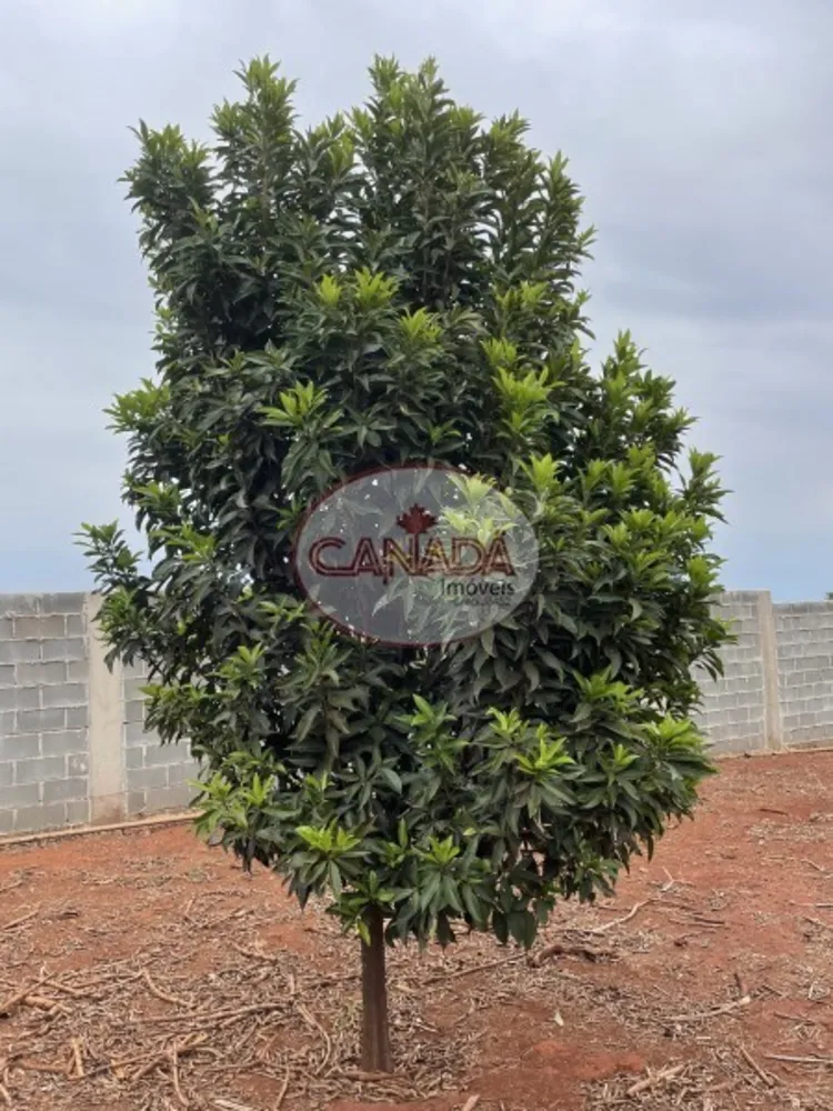 Chácara, 4 quartos, 5000 m² - Foto 1
