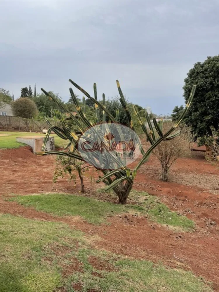 Chácara, 4 quartos, 5000 m² - Foto 6