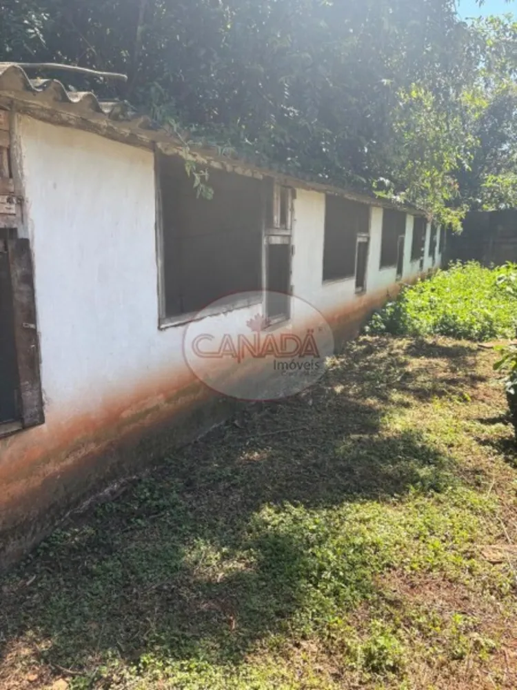 Chácara, 4 quartos, 5000 m² - Foto 3