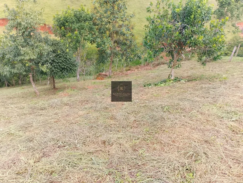 Terreno, 2500 m² - Foto 2