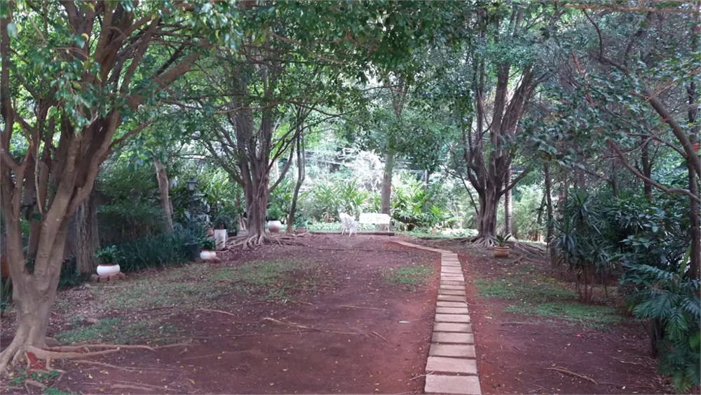 Apartamento, 3 quartos, 72 m² - Foto 1
