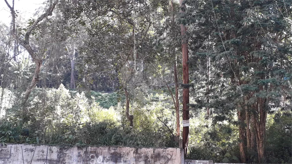 Terreno, 450 m² - Foto 2