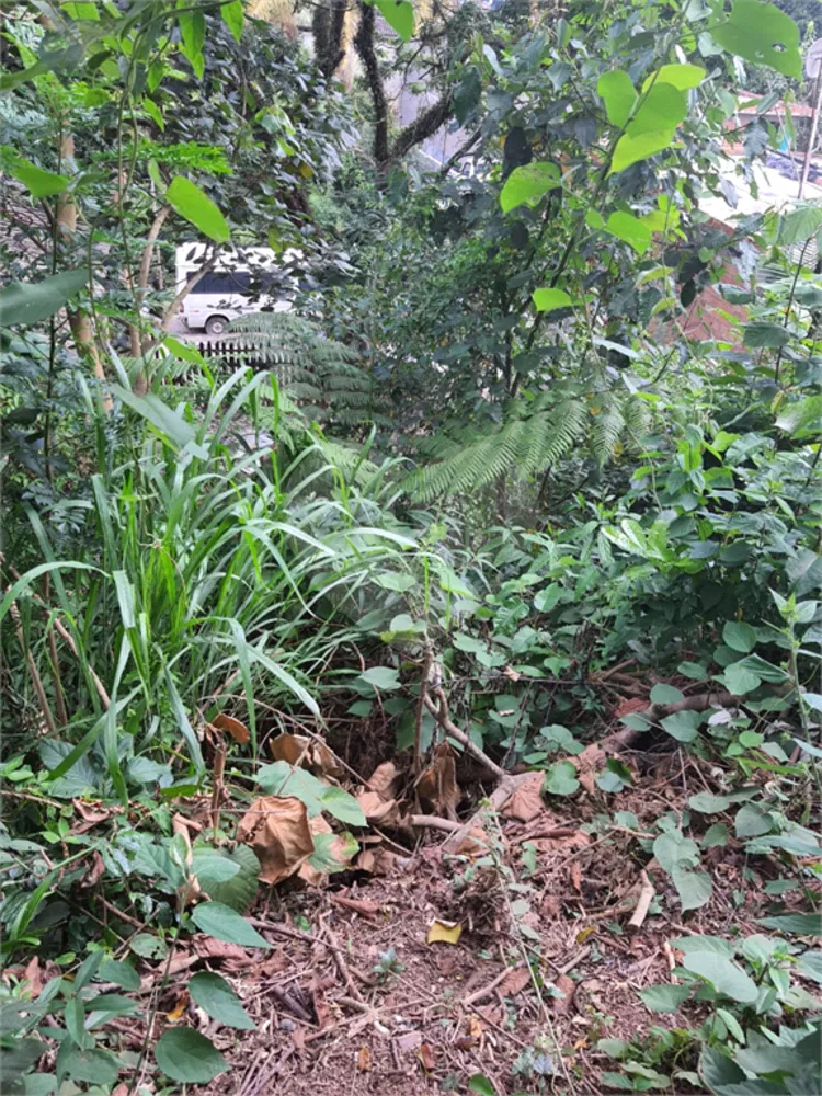 Terreno, 400 m² - Foto 1