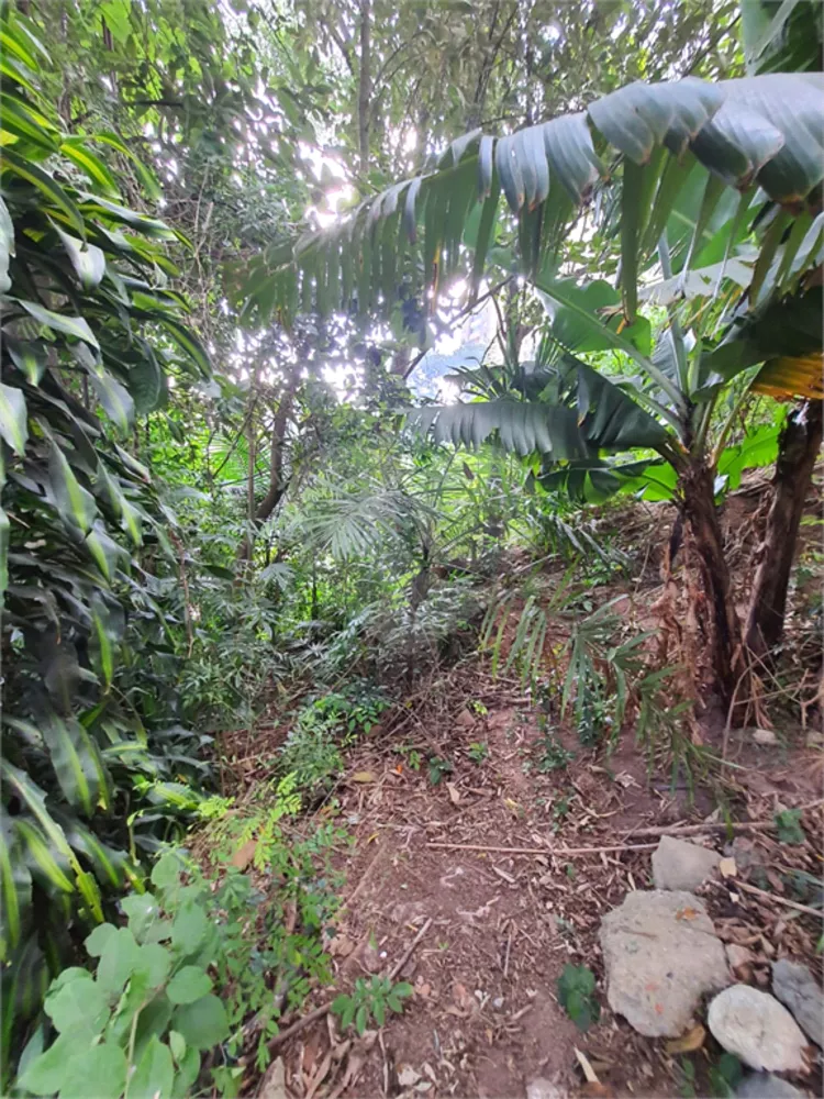 Terreno, 400 m² - Foto 4