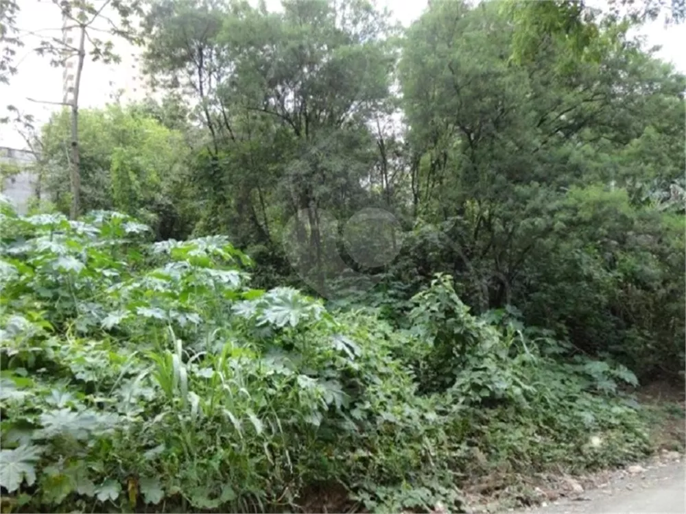 Terreno, 740 m² - Foto 4