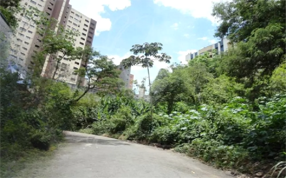 Terreno, 740 m² - Foto 3