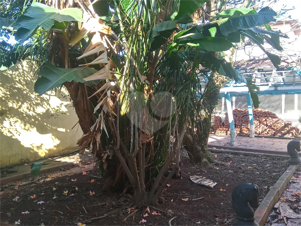 Casa, 4 quartos, 800 m² - Foto 4