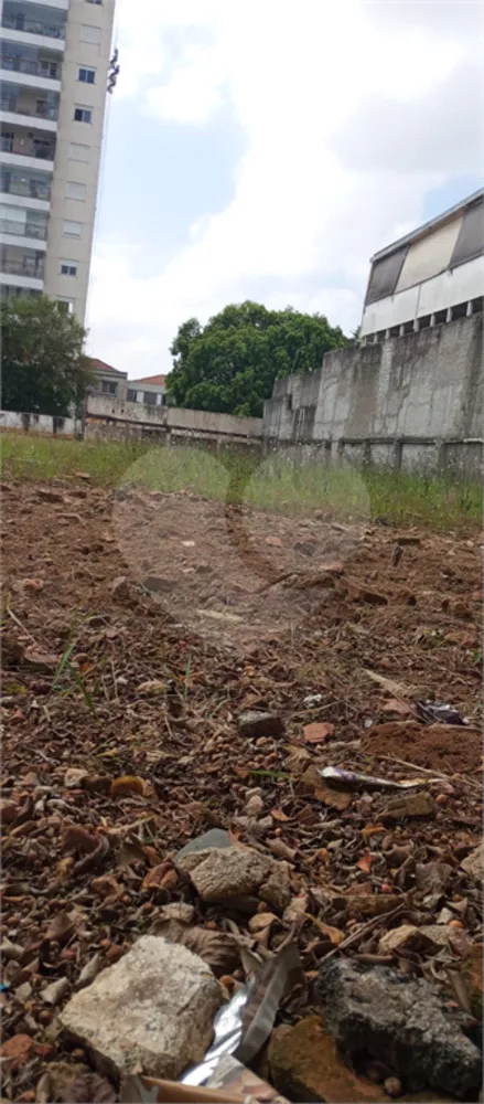 Terreno, 1625 m² - Foto 4