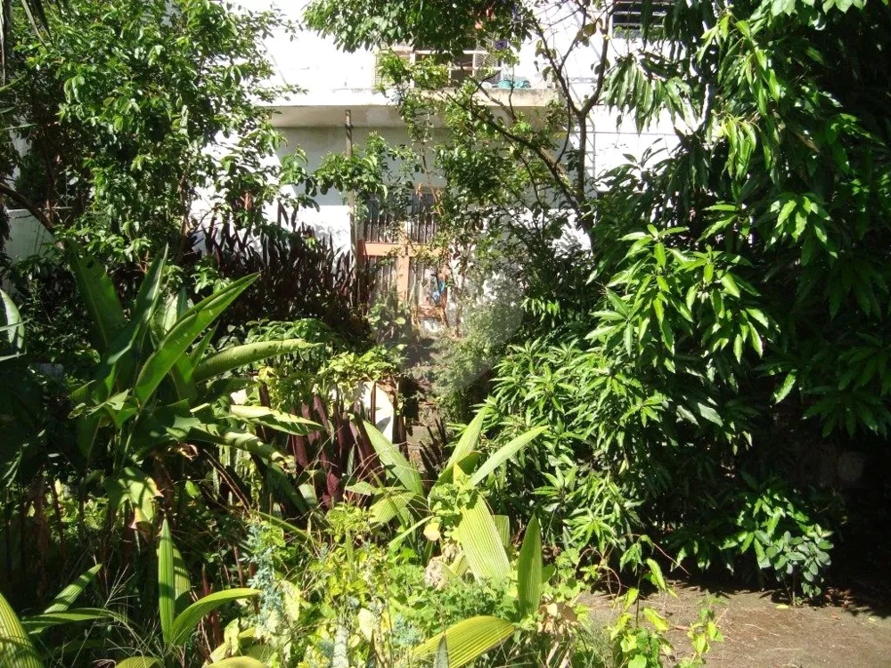 Casa, 3 quartos, 240 m² - Foto 1